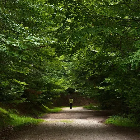 Narnia By Bevalle *