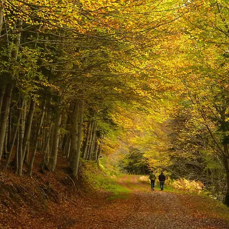 Apartamento Narnia By Bevalle *