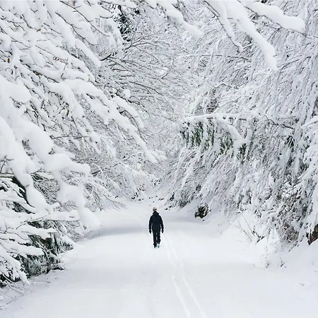 Narnia By Bevalle