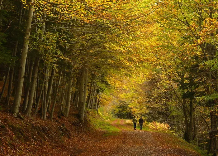 Apartamento Narnia By Bevalle *